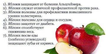 Польза и вред яблок для организма — об этом вы не знали раньше
