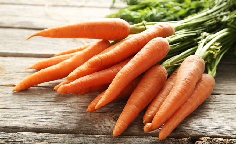 Когда и как сажать морковь весной 2019 в открытый грунт семенами в каждом регионе россии, культуры-предшественники с которыми посадка моркови будет урожайней