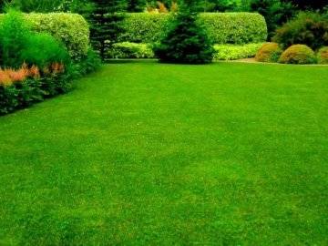 Как сделать правильный дренаж газона?