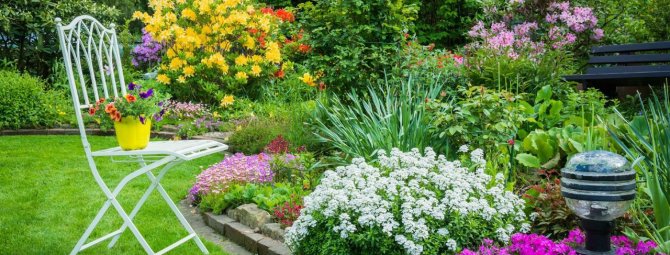 Цветники и клумбы на даче: сажаем растения, цветущие все лето