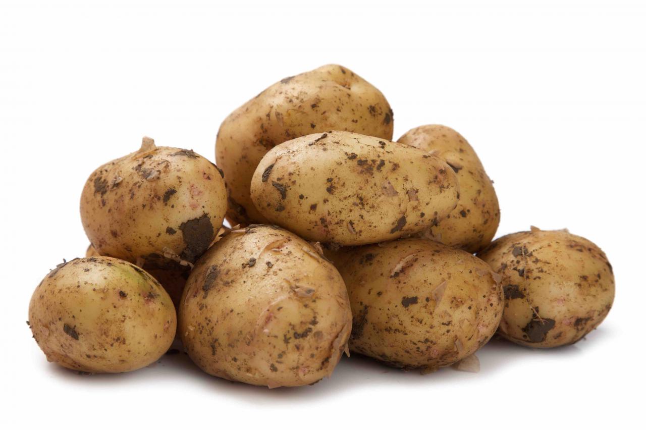 Лучшее удобрение для картофеля