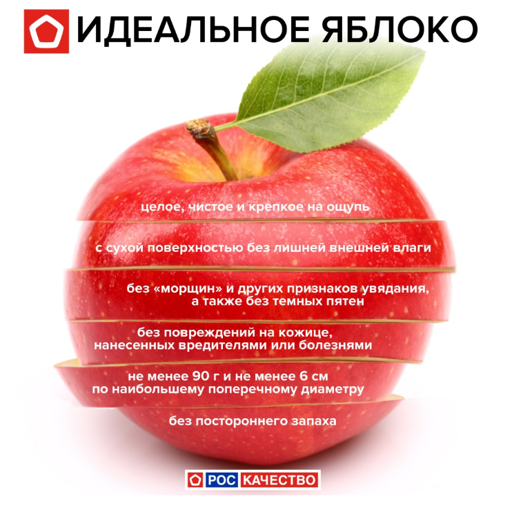Яблоко - как основной продукт в диетологии
