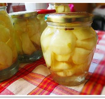 Фруктовые рецепты на зиму: консервирование яблок в собственном соку