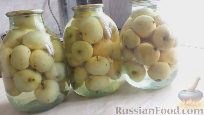 Яблочный компот на зиму без стерилизации – компот из яблок на зиму