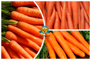Вареная морковь: состав, польза и вред