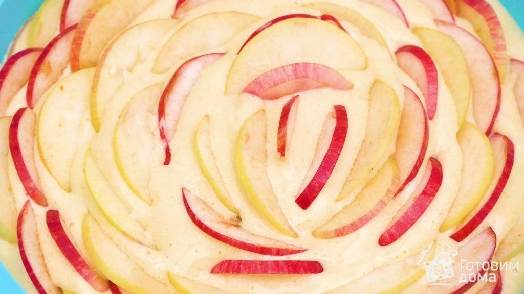 Шарлотка с яблоками в духовке — 24 пошаговых рецепта с фото