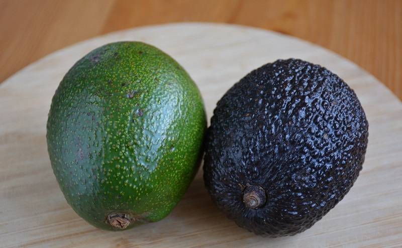 Как выбрать авокадо и не прогадать