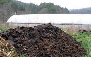 Внесение жидкого навоза в почву – преимущества и недостатки метода