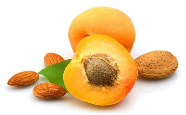 Польза абрикосов для организма
