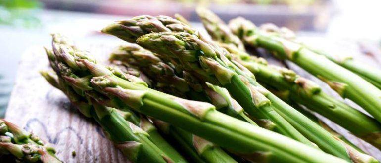 Правила и методы, как сохранить на зиму зелень свежей в холодильнике и сушеной
