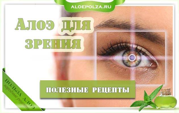 Применение алоэ для глаз: для зрения, от катаракты, свойства и противопоказания