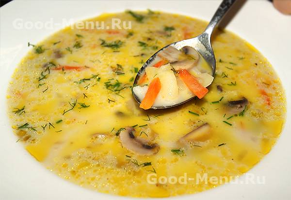 Сырный суп из плавленного сыра — 11 простых рецептов нежного сливочного супа с вкусными добавками