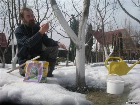 Как проводится снегозадержание в садах