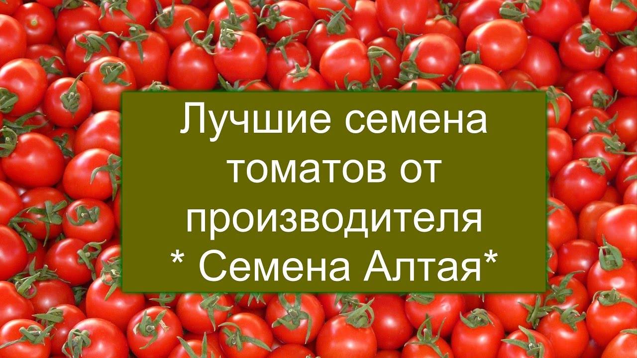 Российские производители лучших сортов семян