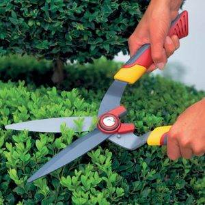 Ножницы садовые – рекомендации экспертов как выбрать инструмент с лучшими характеристиками