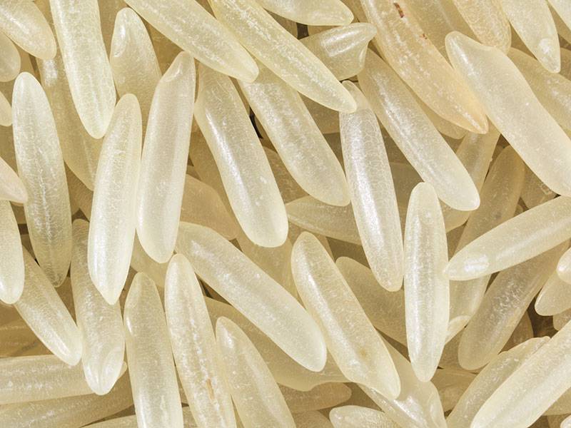 Какие бывают виды риса и в чем их особенности
