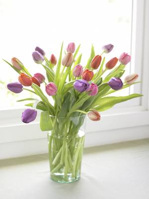 Как сохранить цветы в вазе