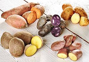 Виды картофеля: известные, полезные и не очень