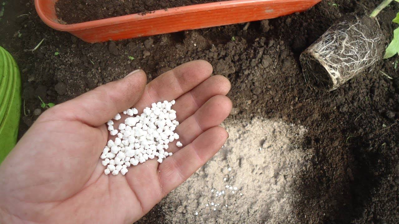 Мочевина (карбамид): применение удобрения в огороде и саду, инструкция по применению