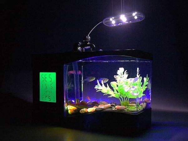 Разбираемся с подсветкой аквариума