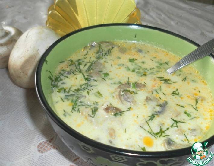 Сырный суп с плавленным сыром и грибами