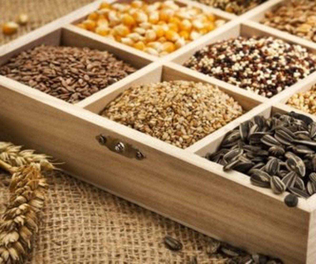 Правила сбора и заготовки семян огурцов – какие оставить для семенного материала