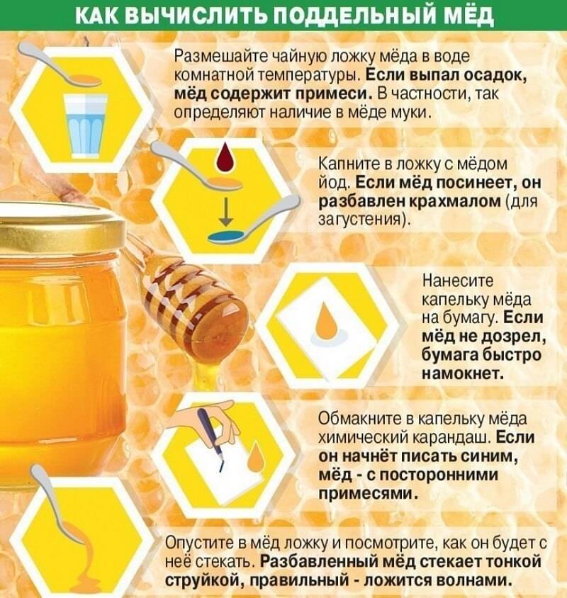 Как проверить качество меда: 6 важных признаков натуральности