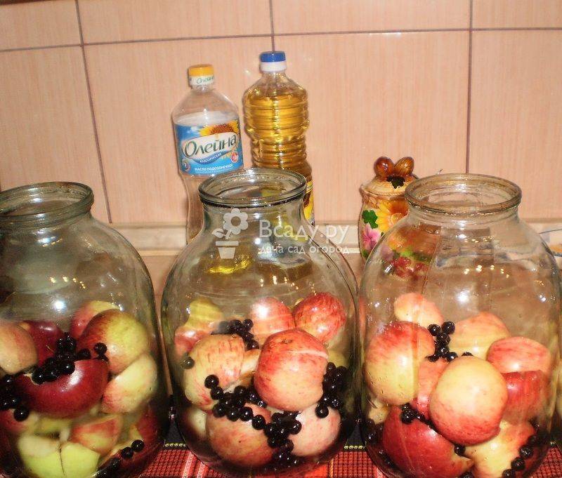 Как сварить компот из яблок: рецепты консервации на зиму