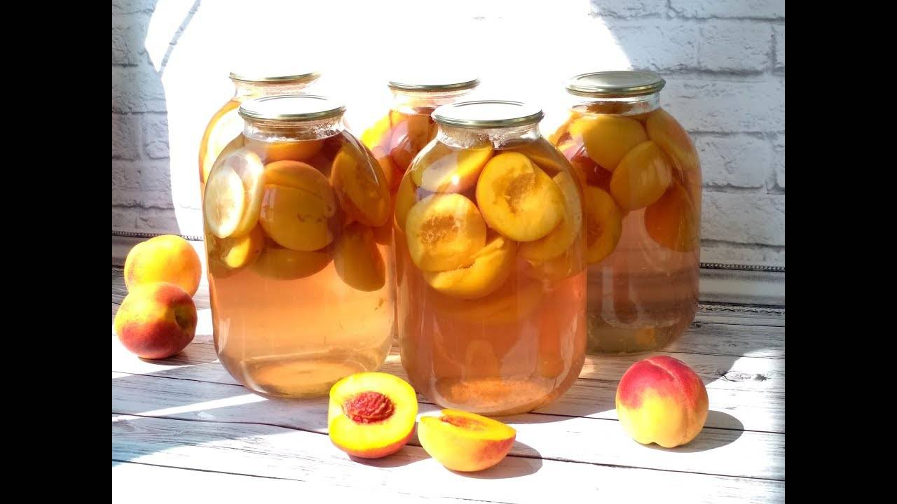 Топ 14 рецептов заготовок из персиков на зиму в домашних условиях