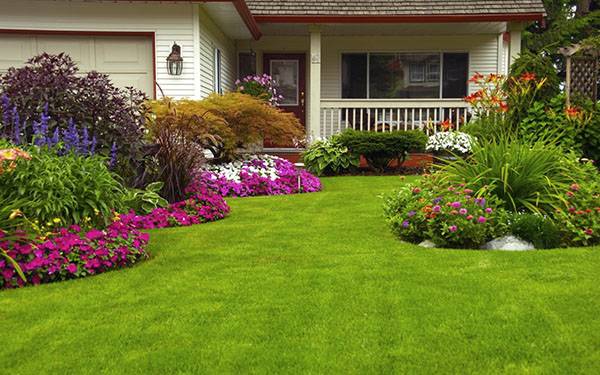 Лучшие удобрения для газона для подкормок весной, летом и осенью