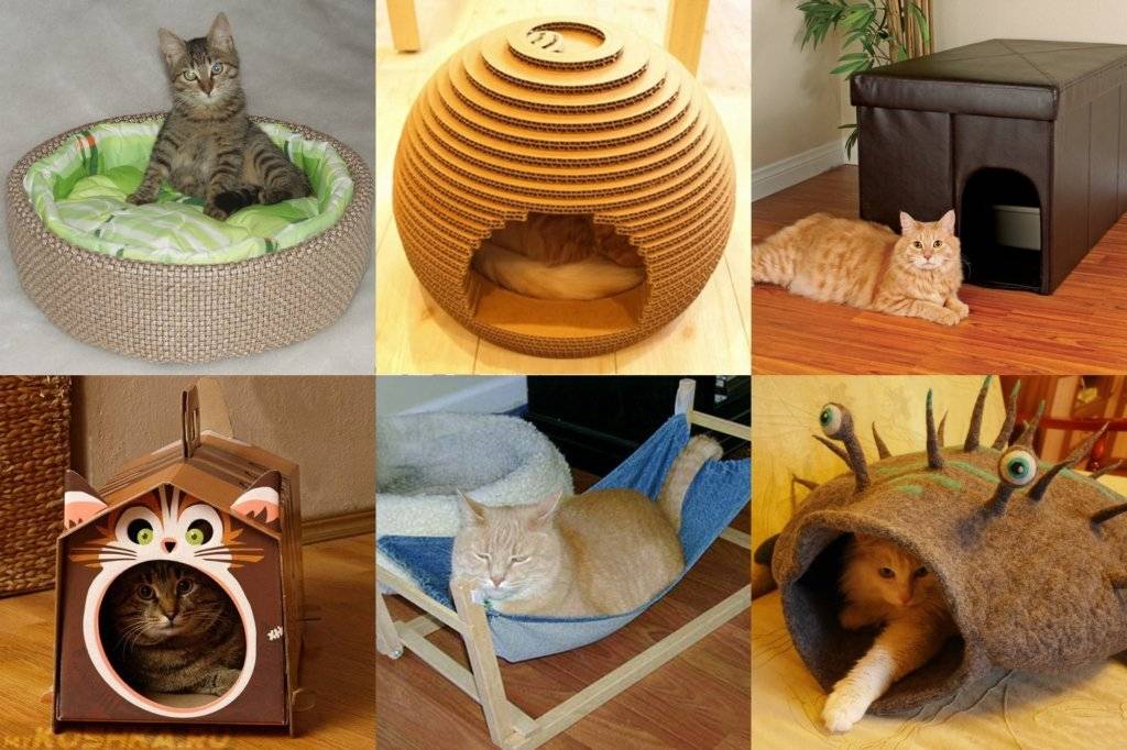 Домики для кошек: все тонкости правильного выбора