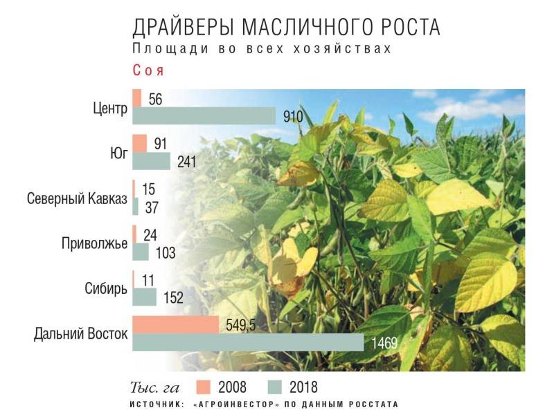 Выращивание чечевицы в украине: рекомендации ведущего мирового экспортера