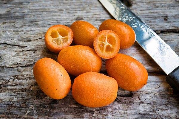 Кумкват: «золотой апельсин» — секреты выращивания в домашних условиях