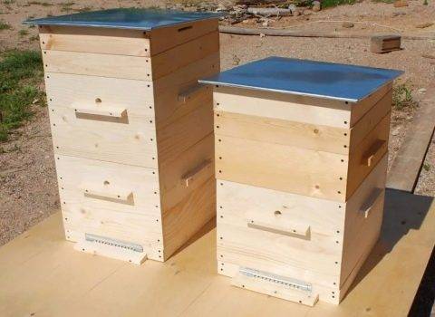 Ульи для пчел: устройство, разновидности, изготовление своими руками