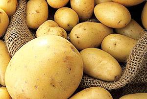 Выращивание картофеля под соломой – технология и видео