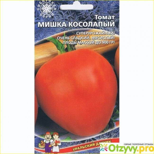 Семейство помидоров «мишка косолапый»: разнообразие цвета и вкуса