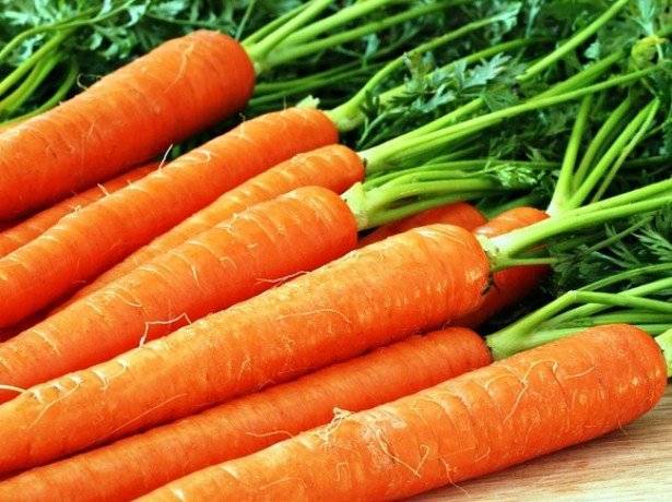 Как бороться с тлей на моркови  и чем можно обработать, основные методы борьбы