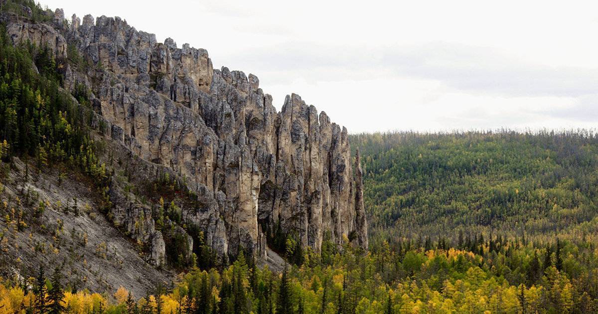 Лес посреди москвы: 14 мест, где можно побыть наедине с природой