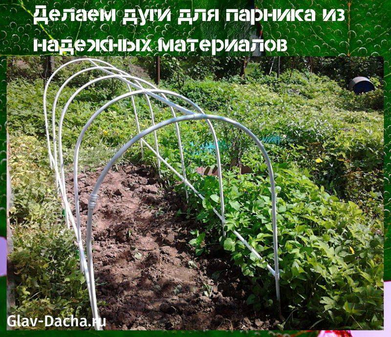 Как подготовить почву для томатов в теплице весной