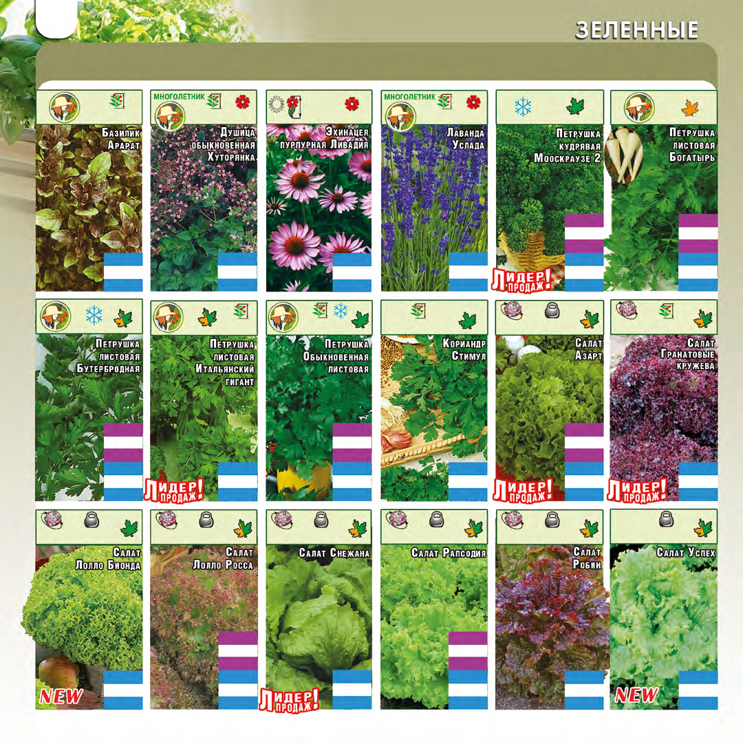 Цветок кореопсис многолетний: виды, сорта, советы по уходу