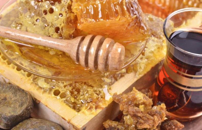 Состав и польза гречишного мёда