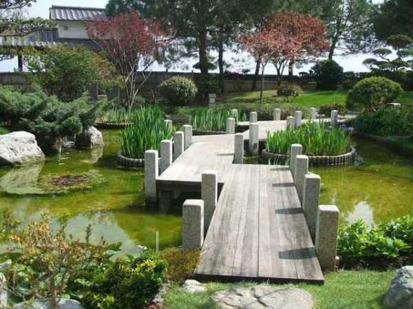 10 простых способов создать бюджетный и красивый сад
