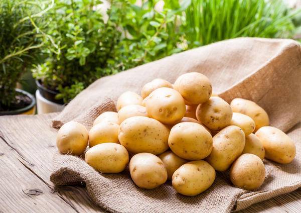 Старинные методы выращивания картофеля