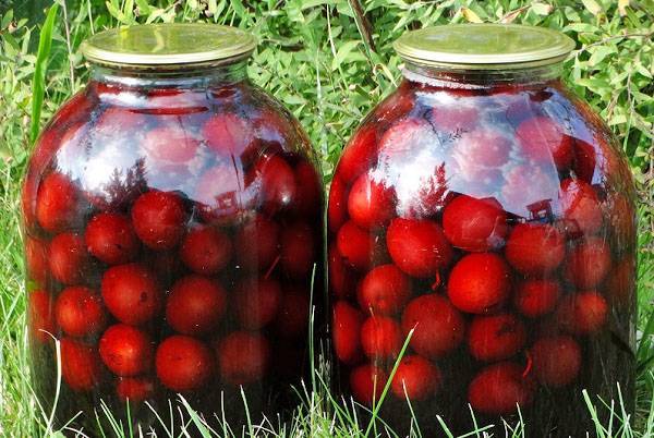 Компот из слив без косточек на зиму