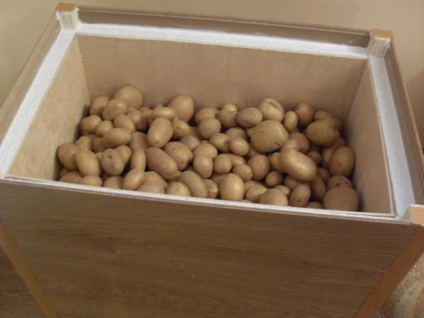 Все о правильном хранении картофеля в овощехранилище: условия, температура, этапы и методы