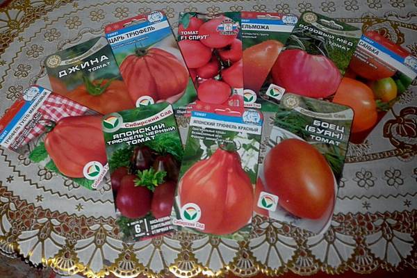 Как и в чём замачивать семена томатов перед посадкой: топ-3 растворов
