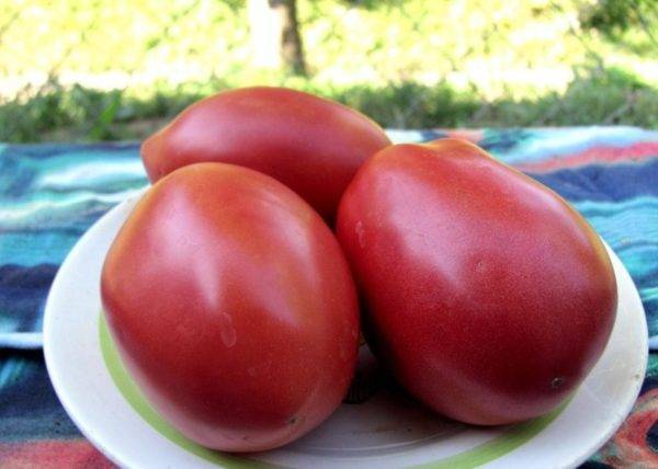 Описание, характеристика, урожайность, отзывы и фото сорта томатов «розовый мед»