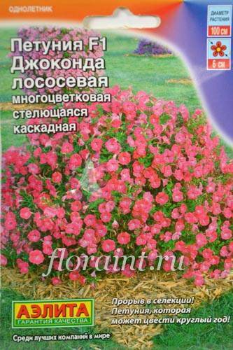 Многоцветковая каскадная петуния сорта джоконда — описание, отзывы, советы по выращиванию