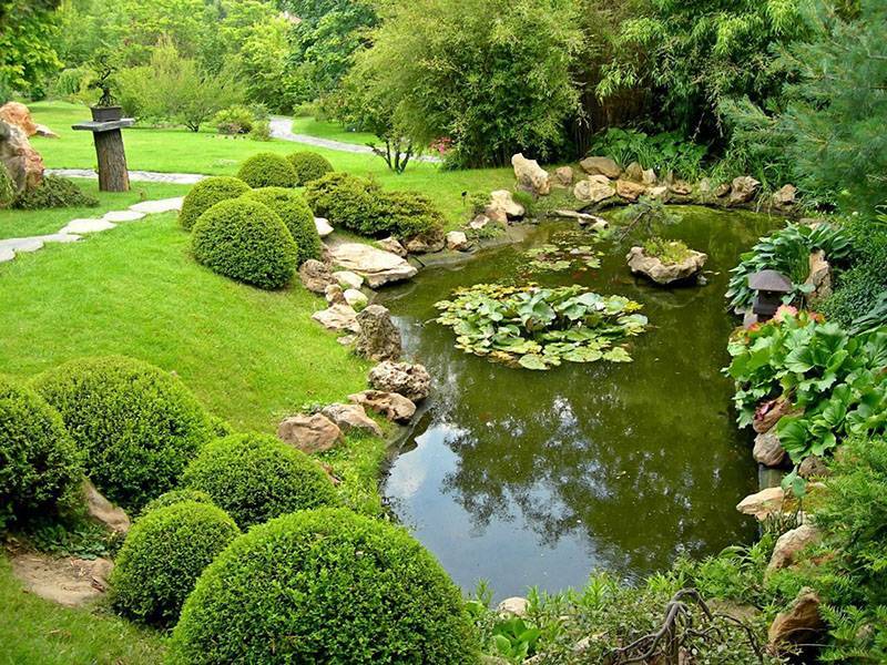10 принципов пермакультуры – практическое применение в саду и огороде
