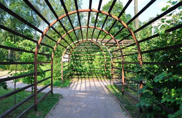 Идеи дизайна садовой арки